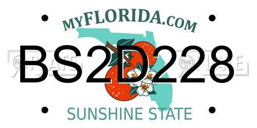 BS2D228 Florida License Plate