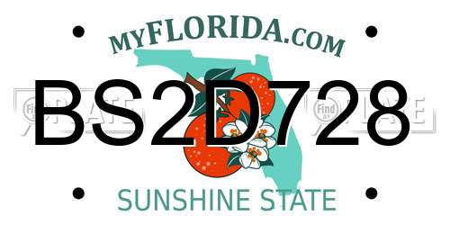 BS2D728 Florida License Plate