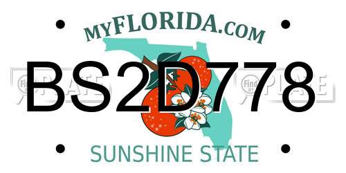 BS2D778 Florida License Plate