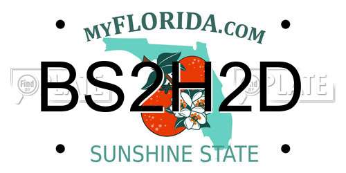 BS2H2D Florida License Plate