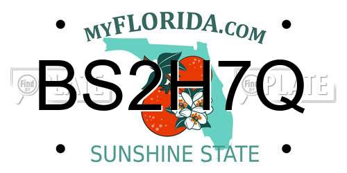 BS2H7Q Florida License Plate