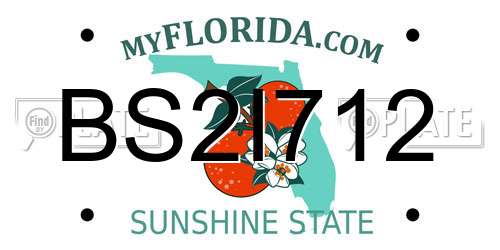 BS2I712 Florida License Plate