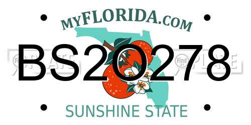 BS2O278 Florida License Plate