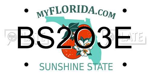 BS2O3E Florida License Plate
