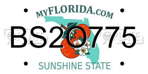 BS2O775 Florida License Plate
