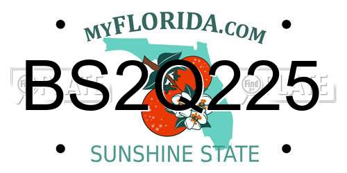 BS2Q225 Florida License Plate
