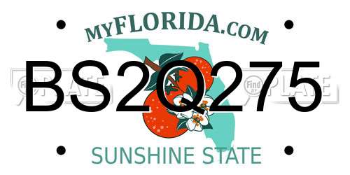 BS2Q275 Florida License Plate