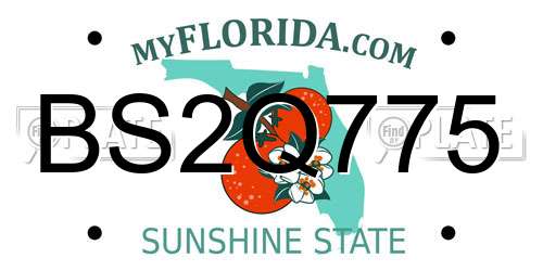 BS2Q775 Florida License Plate