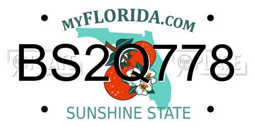 BS2Q778 Florida License Plate