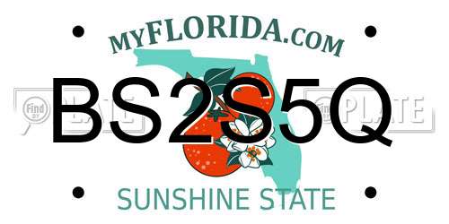 BS2S5Q Florida License Plate