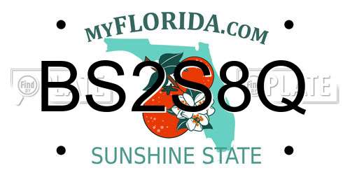 BS2S8Q Florida License Plate