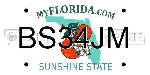 BS34JM Florida License Plate