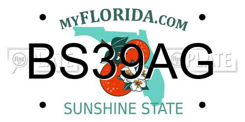 BS39AG Florida License Plate