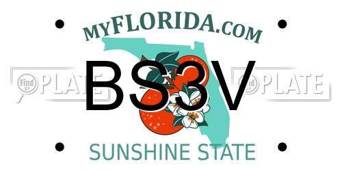 BS3V Florida License Plate