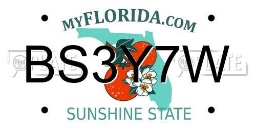 BS3Y7W Florida License Plate
