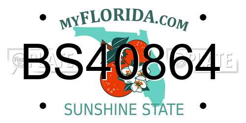 BS40864 Florida License Plate