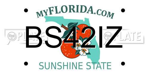 BS42IZ Florida License Plate