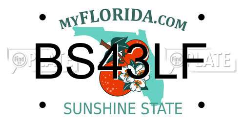 BS43LF Florida License Plate