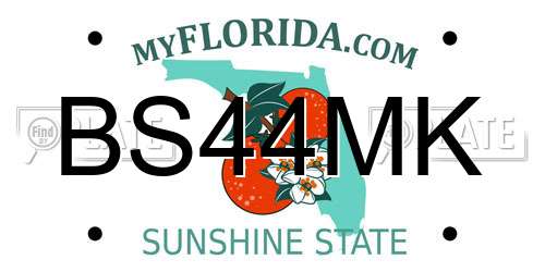 BS44MK Florida License Plate