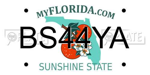 BS44YA Florida License Plate