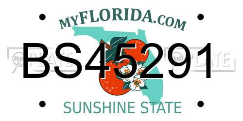 BS45291 Florida License Plate
