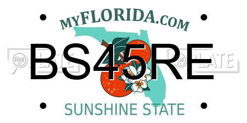 BS45RE Florida License Plate