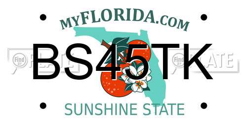 BS45TK Florida License Plate