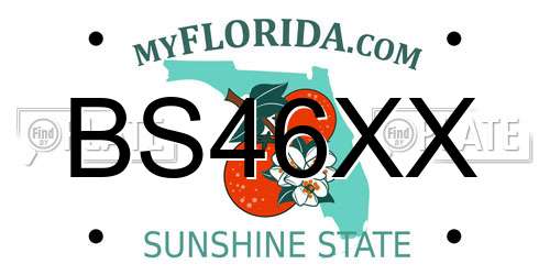 BS46XX Florida License Plate
