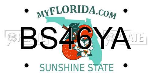 BS46YA Florida License Plate