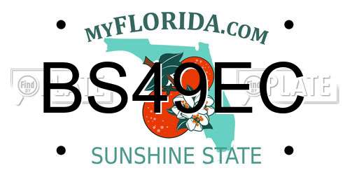 BS49EC Florida License Plate