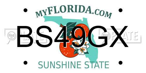 BS49GX Florida License Plate