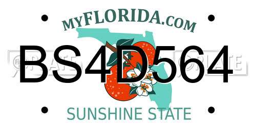 BS4D564 Florida License Plate