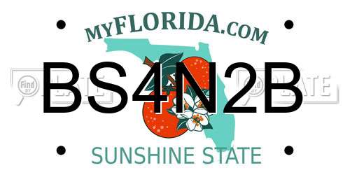 BS4N2B Florida License Plate