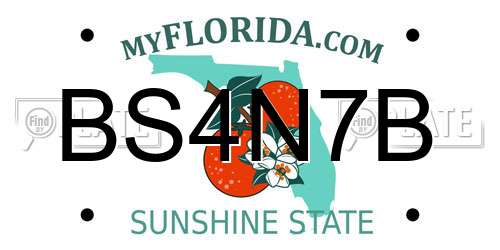 BS4N7B Florida License Plate
