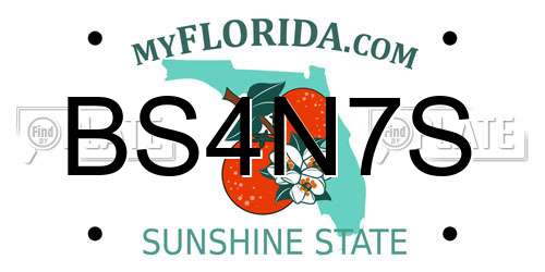 BS4N7S Florida License Plate