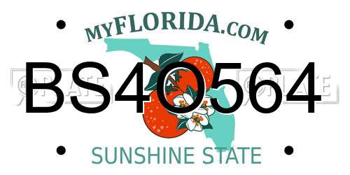 BS4O564 Florida License Plate