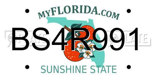 BS4R991 Florida License Plate