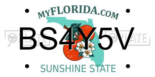 BS4Y5V Florida License Plate