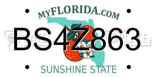 BS4Z863 Florida License Plate