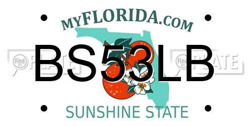 BS53LB Florida License Plate