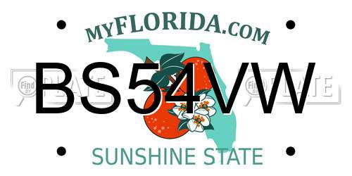 BS54VW Florida License Plate