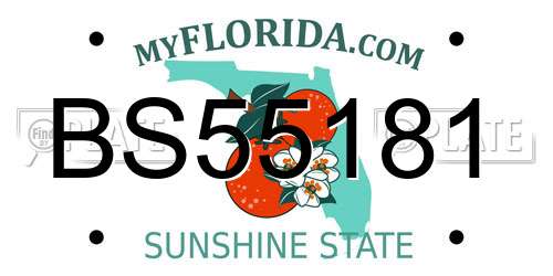 BS55181 Florida License Plate