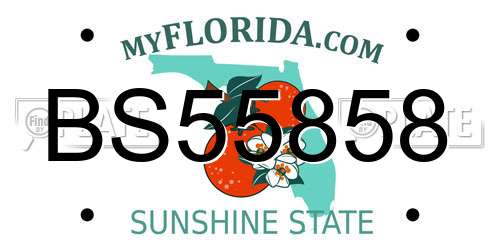 BS55858 Florida License Plate