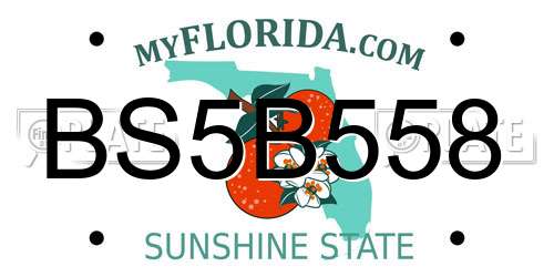 BS5B558 Florida License Plate