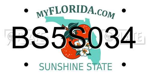 BS5S034 Florida License Plate