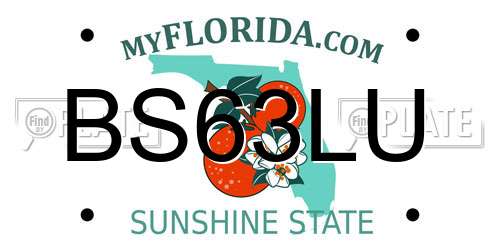 BS63LU Florida License Plate