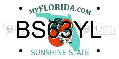 BS63YL Florida License Plate