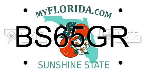 BS65GR Florida License Plate