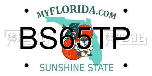 BS65TP Florida License Plate