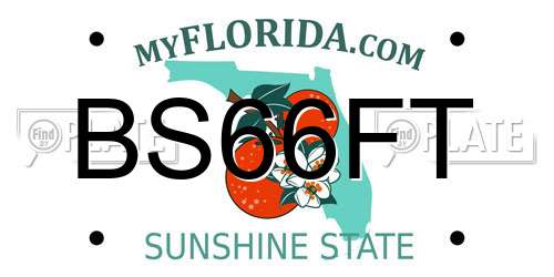 BS66FT Florida License Plate